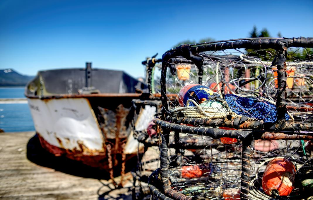 Netting the Risks: How New UK Visa Rules Could Reshape the Seafood Industry