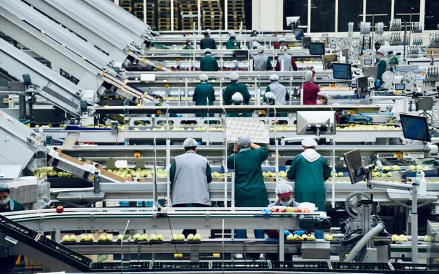 Feast or Famine: How M&A Is Reshaping the Food Manufacturing Industry