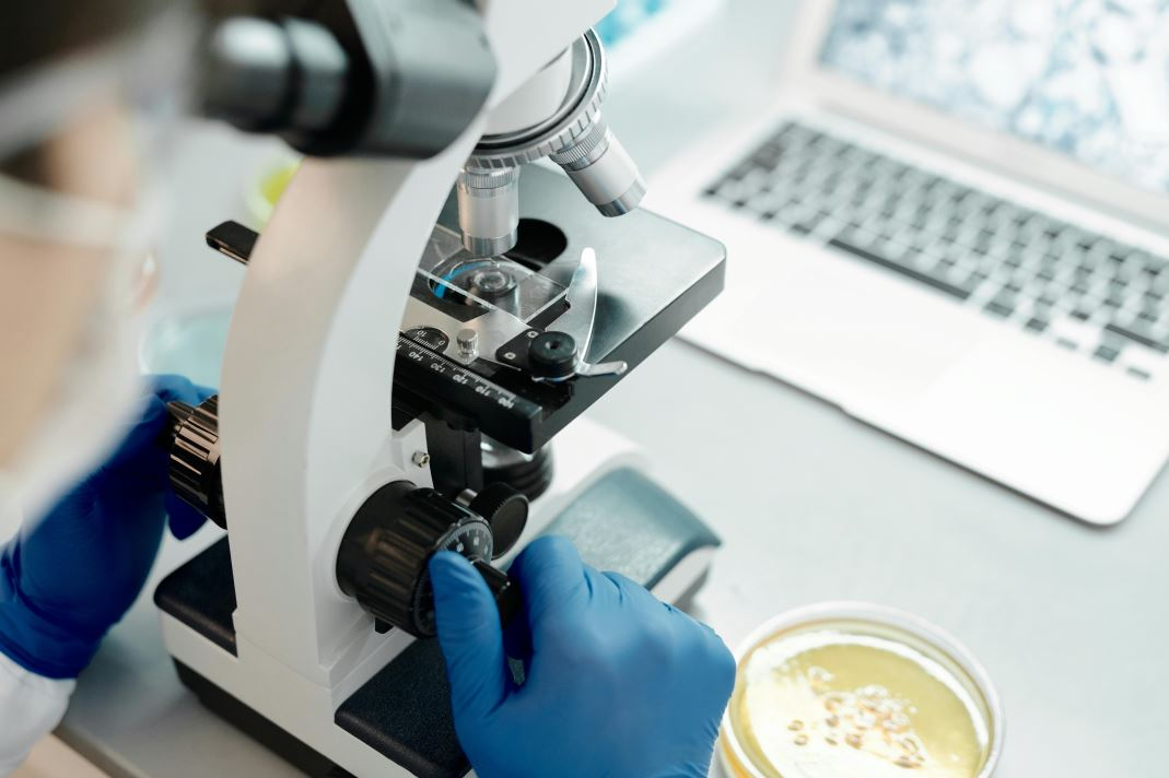 The Divided World of UK Bioscience