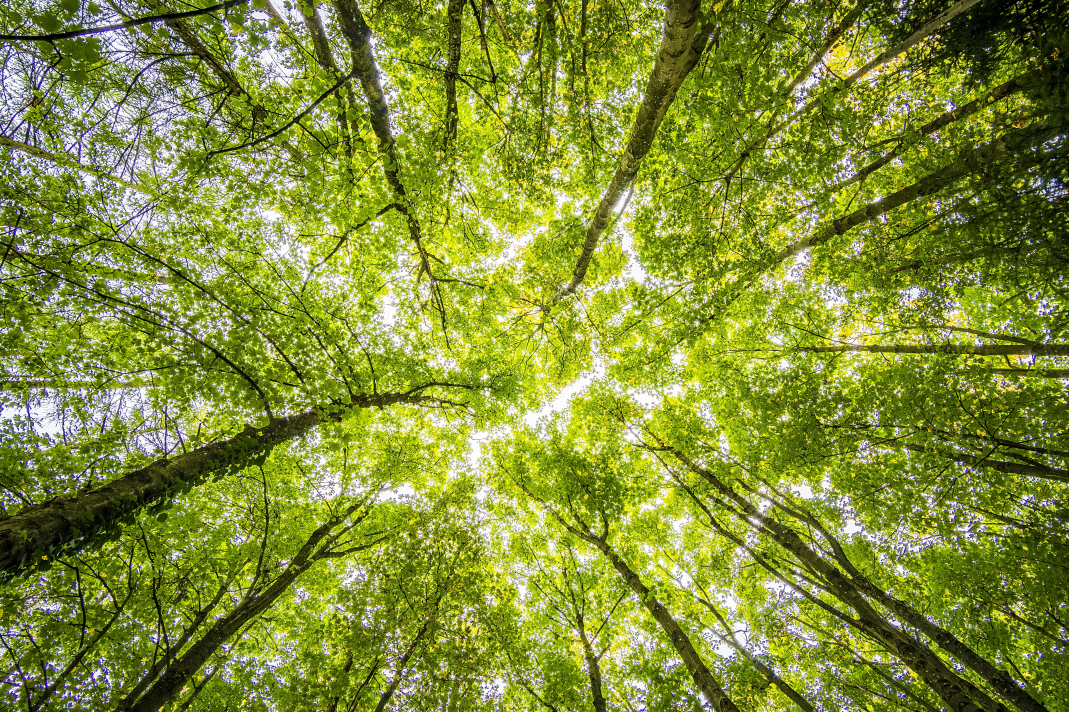 Are soaring energy prices and input costs about to halt the UK paper market?